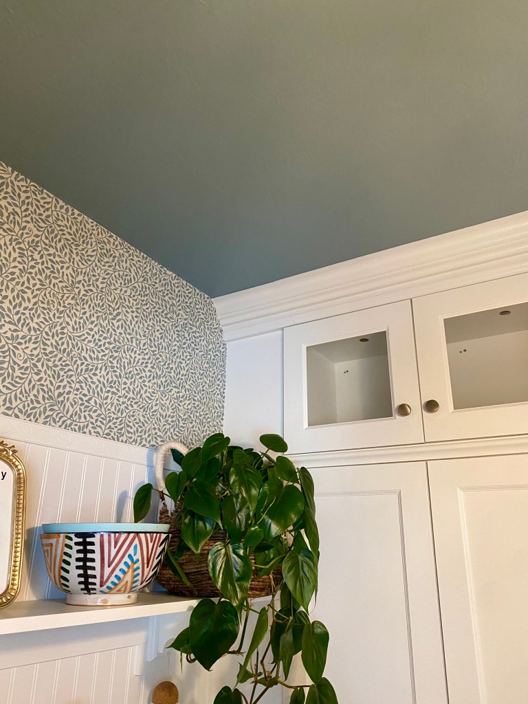 Debonair by Sherwin Williams paint